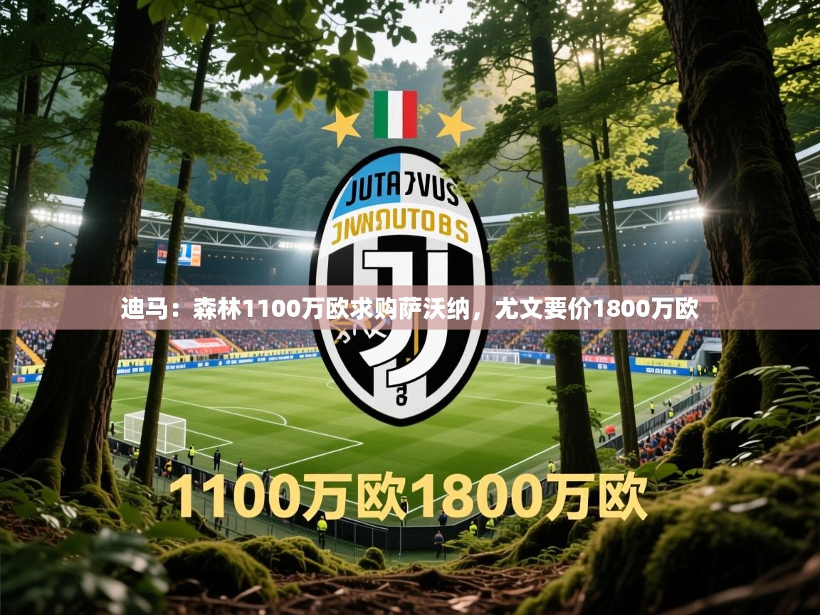 2025爱游戏体育官网网页登录网页版迪马：森林1100万欧求购萨沃纳，尤文要价1800万欧  第3张