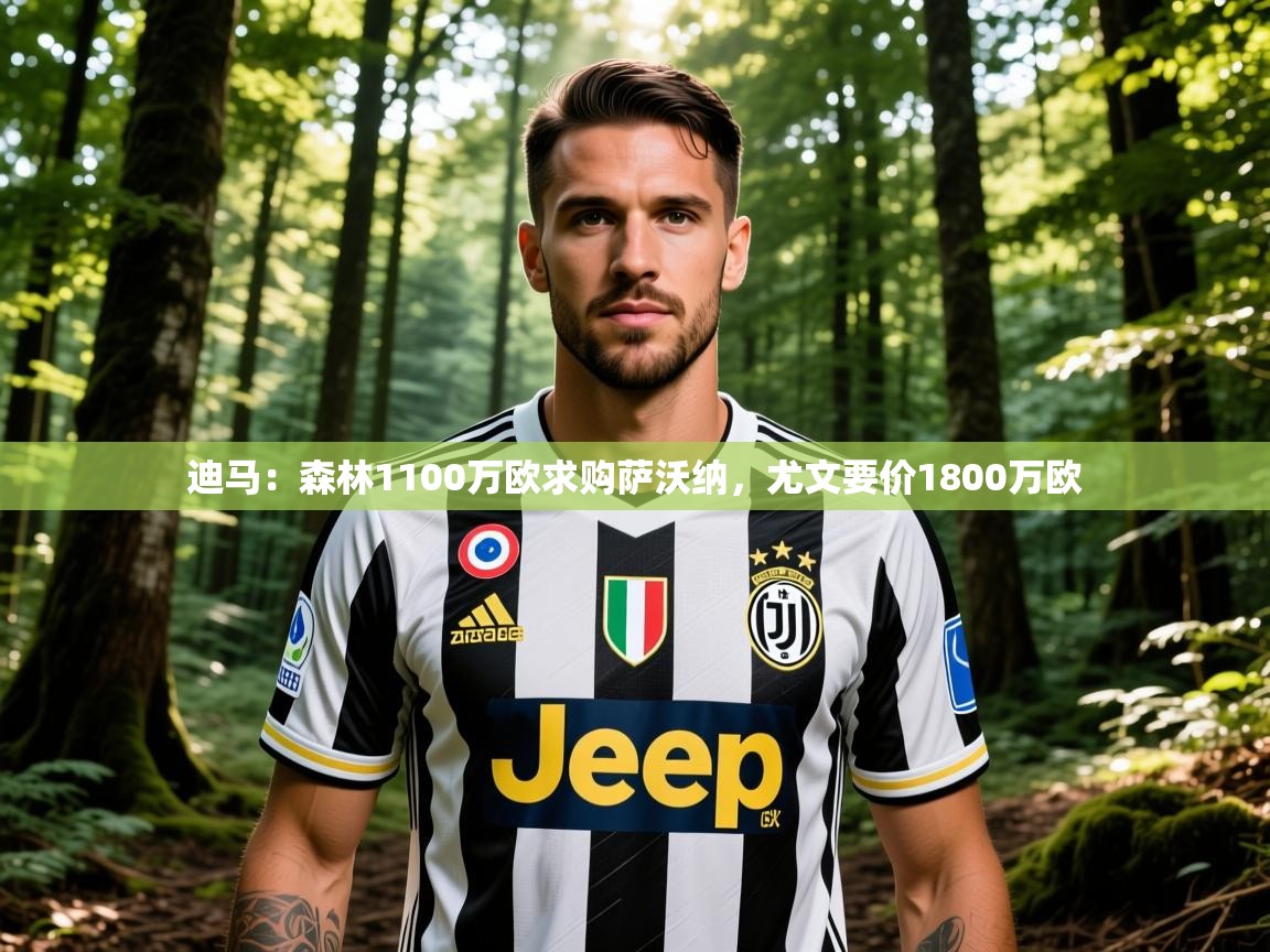 2025爱游戏体育官网网页登录网页版迪马：森林1100万欧求购萨沃纳，尤文要价1800万欧  第4张