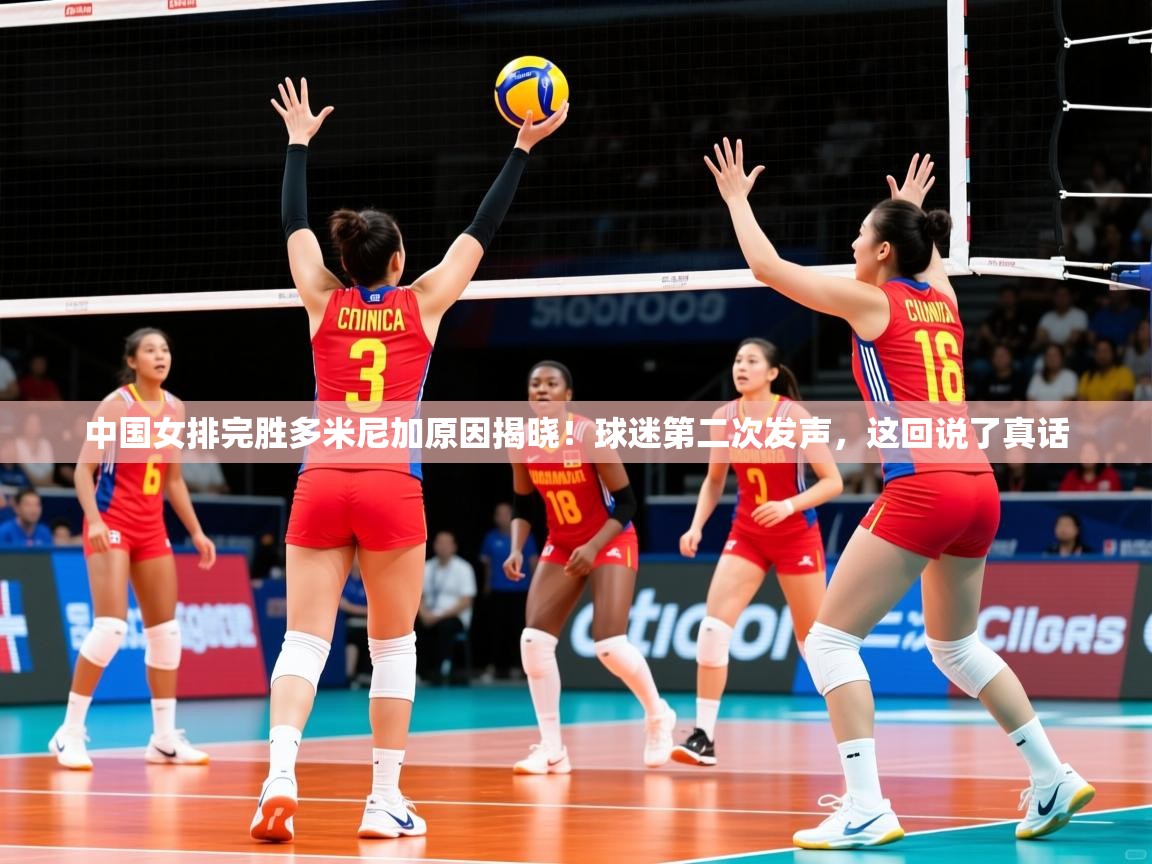 2025爱游戏体育登录口网页版中国女排完胜多米尼加原因揭晓！球迷第二次发声，这回说了真话  第3张