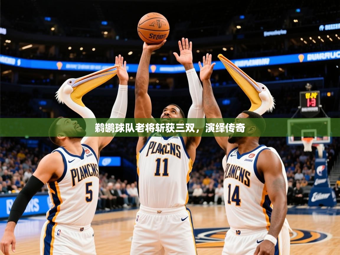 2025爱游戏体育在线官网入口鹈鹕球队老将斩获三双,演绎传奇 第2张