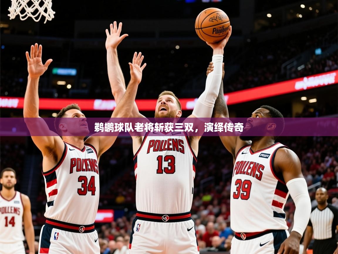 2025爱游戏体育在线官网入口鹈鹕球队老将斩获三双,演绎传奇 第4张