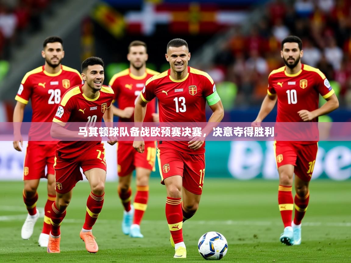 2026爱游戏体育网页版登录马其顿球队备战欧预赛决赛,决意夺得胜利 第2张