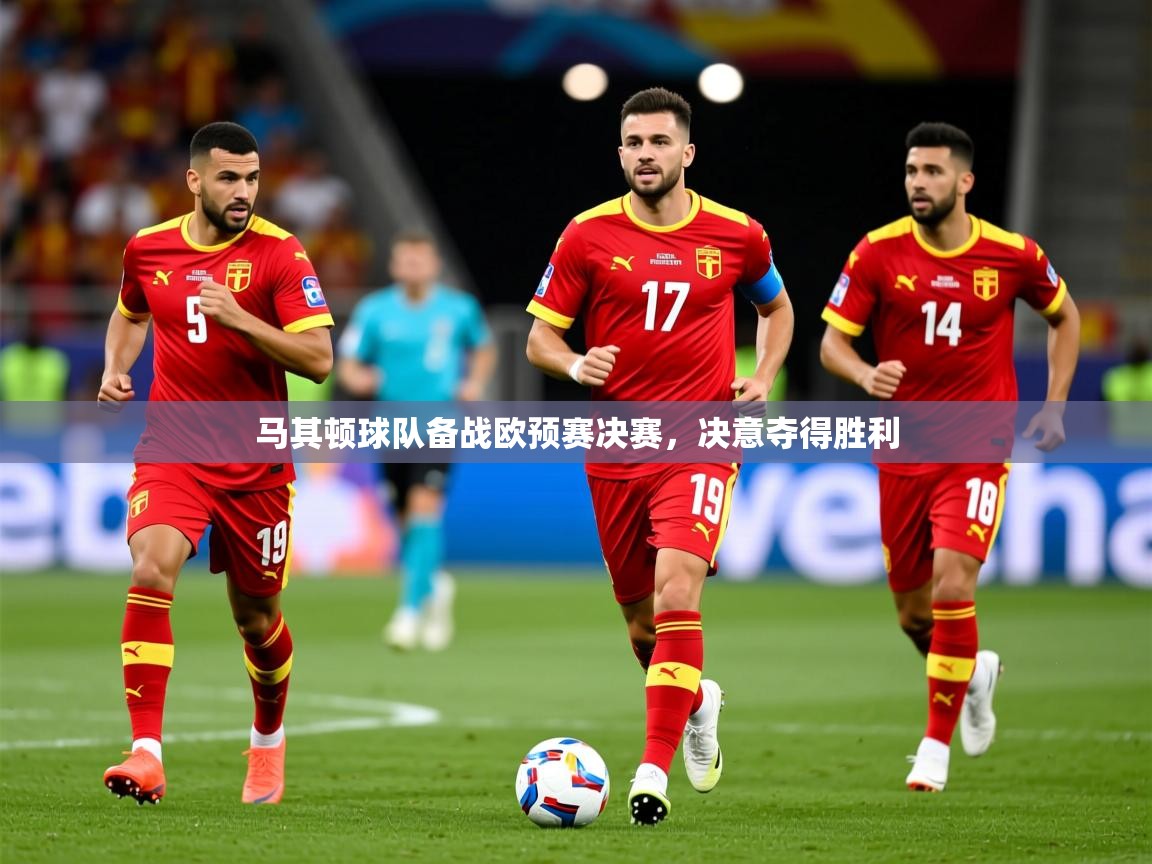 2026爱游戏体育网页版登录马其顿球队备战欧预赛决赛,决意夺得胜利 第4张