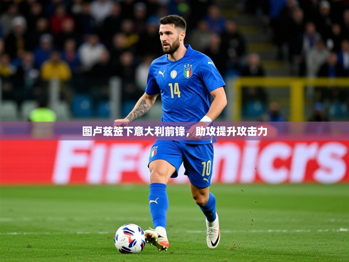 2026爱游戏体育登录口网页版图卢兹签下意大利前锋，助攻提升攻击力  第1张